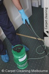 Clean and restored carpet texture after a professional carpet cleaning Melbourne visit