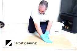 Carpet dry cleaning Melbourne using low-moisture professional equipment for delicate rugs.