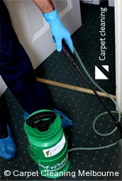 Professional Carpet Cleaners Melbourne 